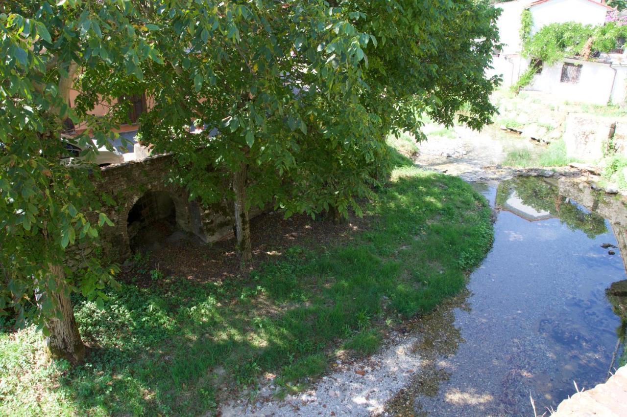 Dol-Ce Holiday Home Camaiore Dış mekan fotoğraf