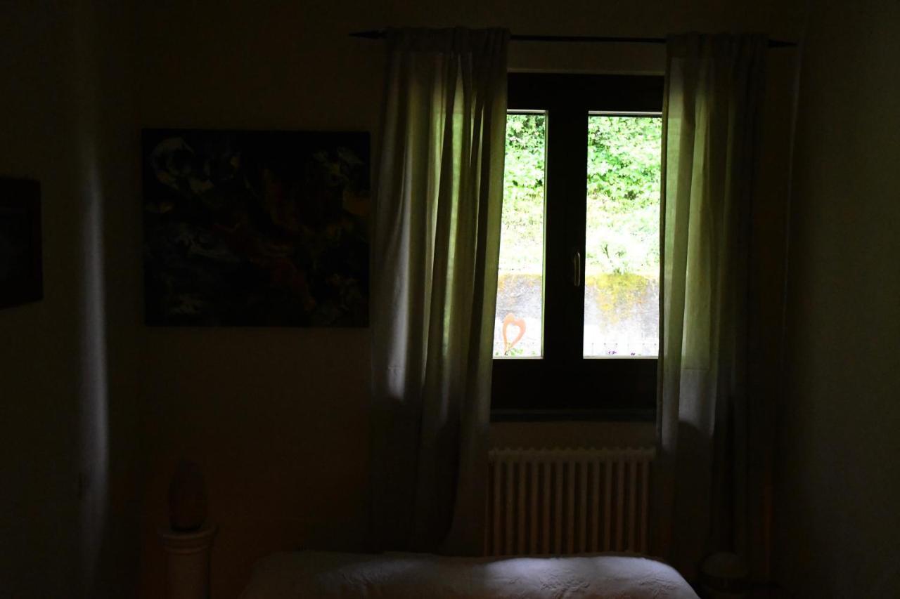 Dol-Ce Holiday Home Camaiore Dış mekan fotoğraf